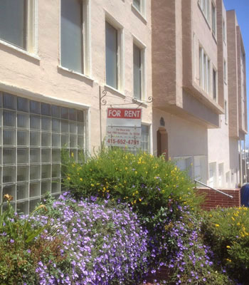 Lilacs outside office building